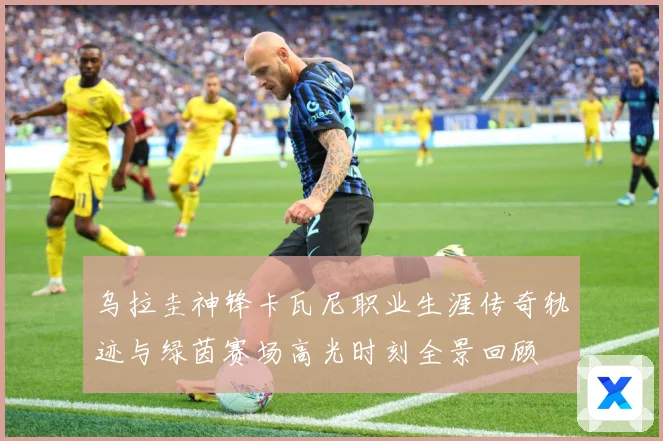 乌拉圭神锋卡瓦尼职业生涯传奇轨迹与绿茵赛场高光时刻全景回顾