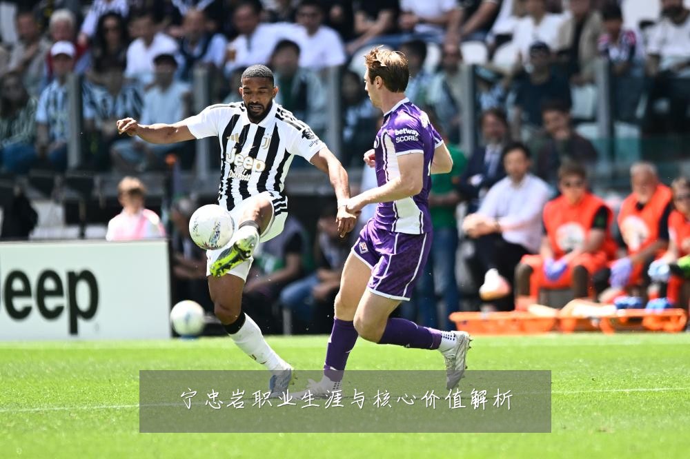 宁忠岩职业生涯与核心价值解析