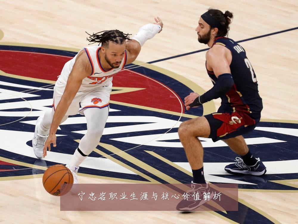 宁忠岩职业生涯与核心价值解析